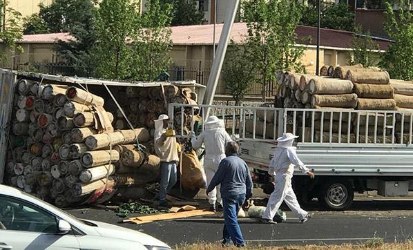 Diyarbakırda arı kovanı yüklü kamyonet devrildi: 2 yaralı