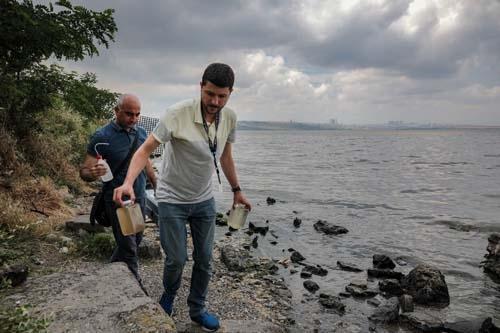 Bu görüntü tedirgin etti