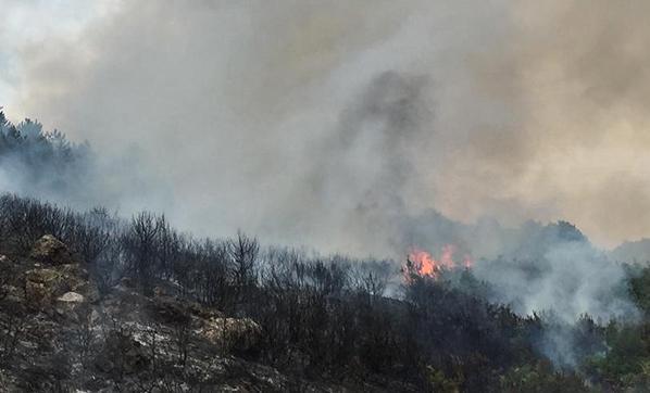 İstanbul ve Muğlada orman yangını