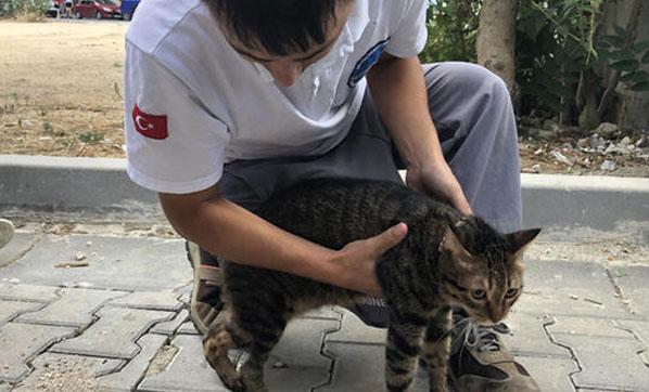 Kedisini öldü sanınca gözyaşlarına boğuldu
