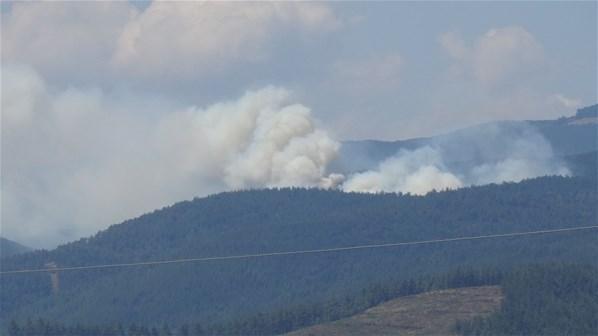 Bursada orman yangını 10 saatlik çalışmanın ardından kontrol altına alındı