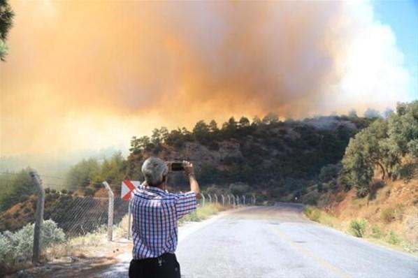 İzmir ve Muğlada orman yangını