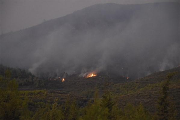 Muğla ve İzmirde orman yangınları