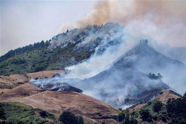 Kanarya Adalarındaki yangında 12 bin hektardan fazla alan kül oldu