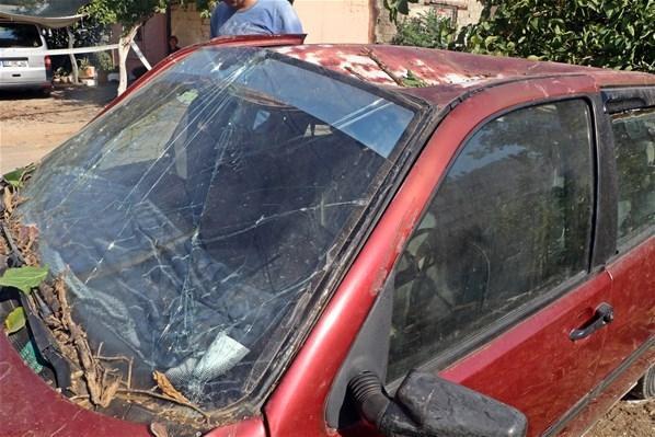 Dut ağacı, otomobilin üzerine devrildi