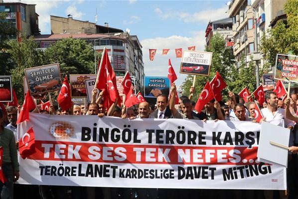 Teröre Lanet, Kardeşliğe Davet mitingleri  Bayrağı alan meydanlara çıktı