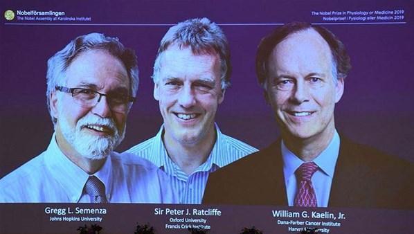 2019 Nobel Tıp Ödülünü kazananlar belli oldu