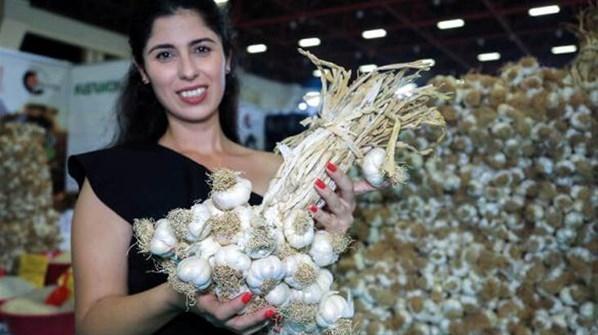 Taşköprü sarımsağının kilogramı 60 lira