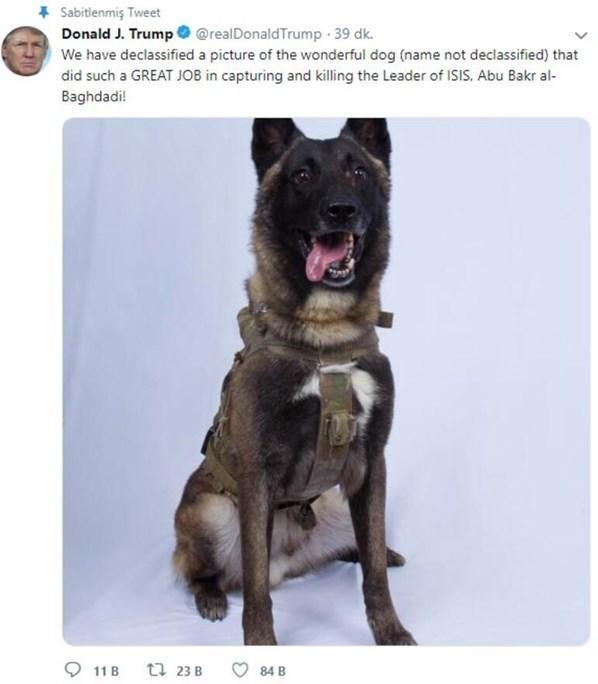 Trump duyurdu İşte Bağdadiyi bitiren köpek