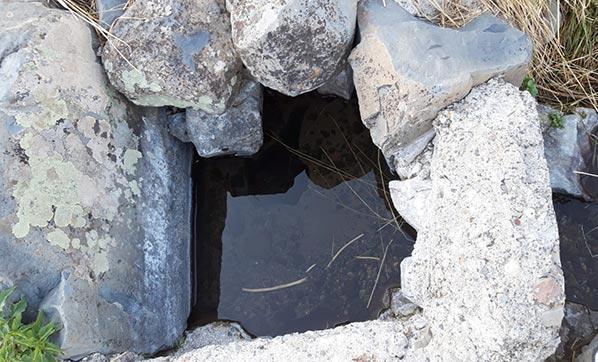 36 yıl kesinleşmiş hapis cezası bulunan kişi yakalandı