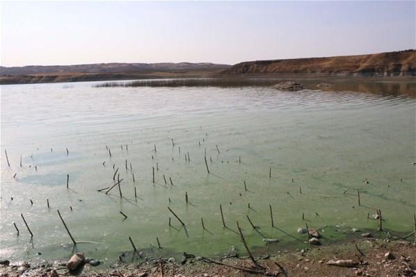 Atatürk Baraj Gölünün rengi yeşile döndü