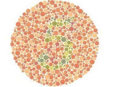 Renk körlüğü neden olur, tedavisi var mı | Renk körlüğü testi nasıl yapılır