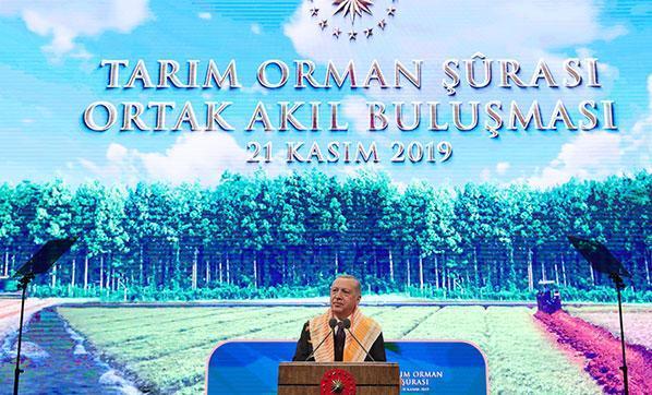 Cumhurbaşkanı Erdoğan müjdeleri art arda sıraladı