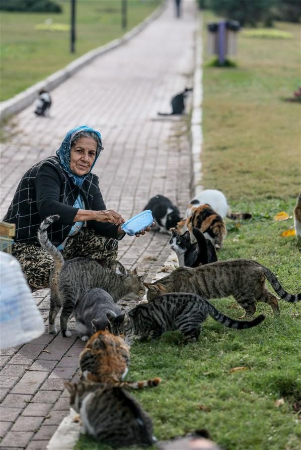 Hepsine gözü gibi bakıyor