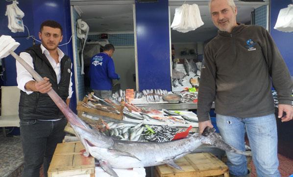 Marmara Denizinde yakalandı Fiyatı şaşırttı