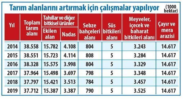 Cumhurbaşkanı Erdoğan talimatı verdi Köyüne dönene destek...