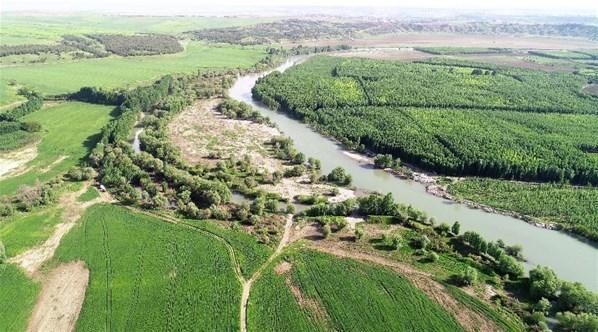 Kullanımı artan temizlik ürünleri, sudaki canlıları tehdit ediyor