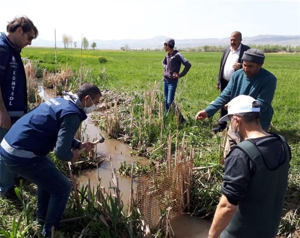 Susuz kalan 3 ton balık için seferber oldular