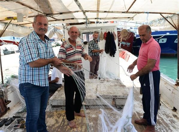 Akdenizi istila eden balon balıkları, tatilcileri de korkutuyor