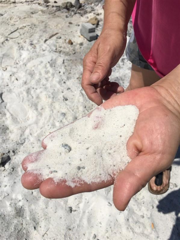 Plajlara serilen kuvars tozu denizdeki yaşamı olumsuz etkiler