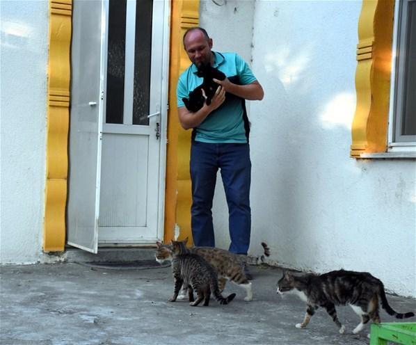 İpsala’da kedi ve köpekler fare zehri nedeniyle ölmüş