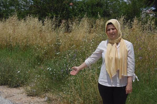 Eski eşinin 30 yerinden bıçakladığı Fatma hemşire: Kadın cinayetleri son bulsun