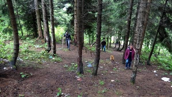 Karadeniz’de sayıları artan ayılar korkutuyor