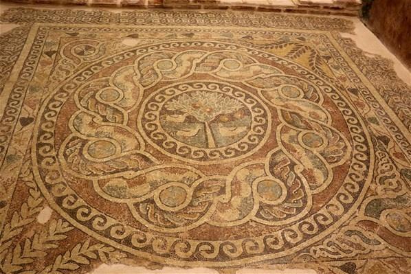 Kaçak kazıda ortaya çıktı 1800 yıllık elma mozaiği sergileniyor