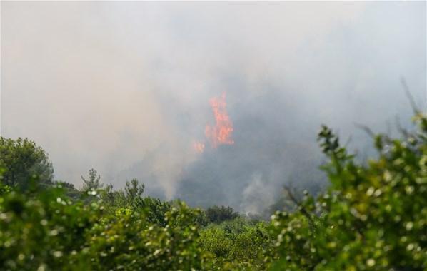 İzmir ve Bursada peş peşe orman yangınları