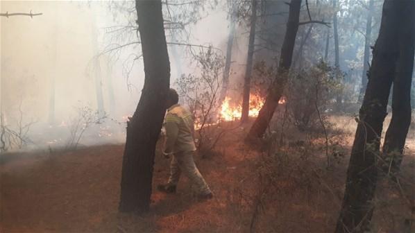 İstanbulda ormanlık alanda yangın 1 kişi gözaltına alındı