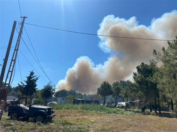 İstanbulda ormanlık alanda yangın 1 kişi gözaltına alındı