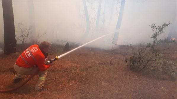 İstanbulda ormanlık alanda yangın 1 kişi gözaltına alındı
