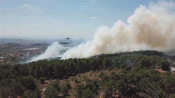 İstanbulda ormanlık alanda yangın 1 kişi gözaltına alındı