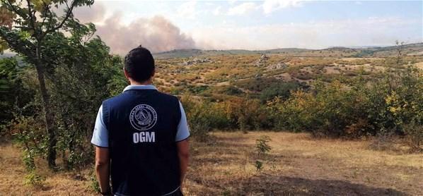 Bulgaristanın Türkiye sınırında orman yangını