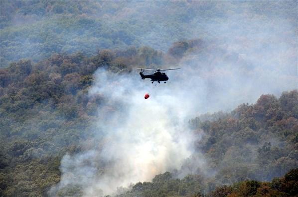 Bulgaristan sınırındaki orman yangını etkisini kaybediyor