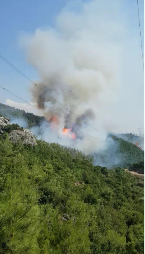 İzmirde ağaçlandırma sahasında yangın Çok sayıda ekip müdahale ediyor