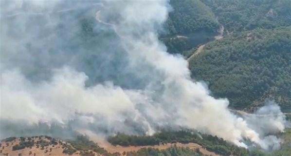 İzmirde ağaçlandırma sahasında yangın Çok sayıda ekip müdahale ediyor