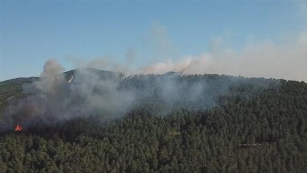 Aydos Ormanında 4 farklı noktada yangın Ekipler müdahale ediyor