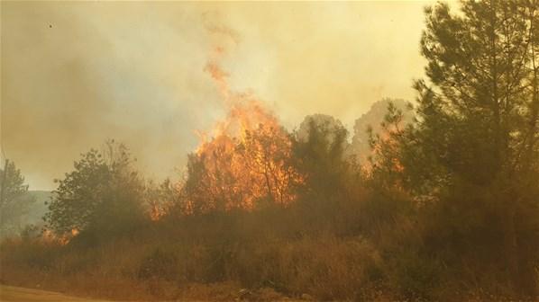 Haberler peş peşe geliyor 4 ilde ormanlık alanda yangın