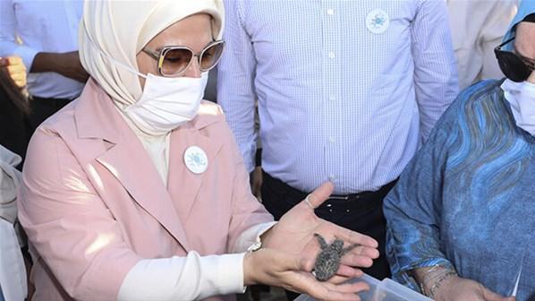 Emine Erdoğan ve Bakan Kurum kaplumbağaları denize uğurladı