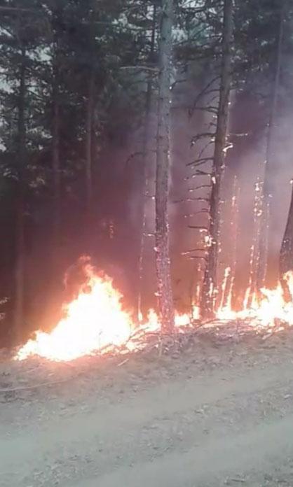 Sinop-Çorum arasındaki orman yangını sürüyor; Tahliye edilen köyde yaşayanlar sokakta sabahladı