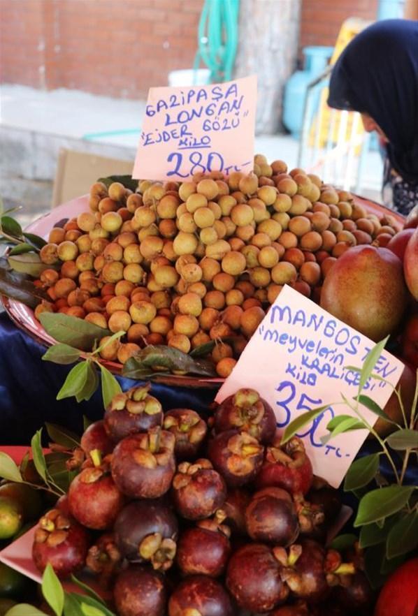 Taleplere yetişemiyorlar Longon ve mangostanın fiyatı şaşırtıyor...