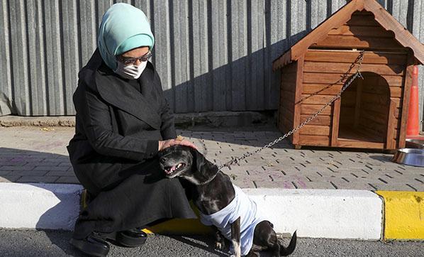 Emine Erdoğan, engelli köpek Leblebiyi sahiplendi