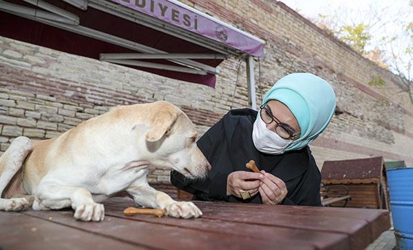 Emine Erdoğan, engelli köpek Leblebiyi sahiplendi