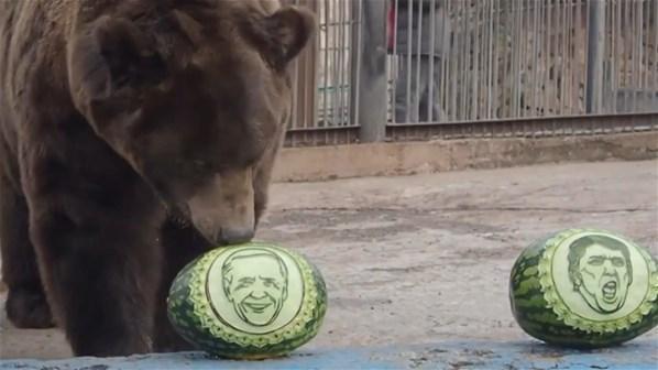 Rusya’da hayvanat bahçesinde ABD başkanlık seçimi kehaneti