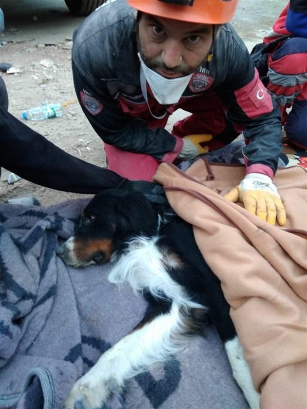 Enkazda kalan köpek depremden 58 saat sonra kurtarıldı