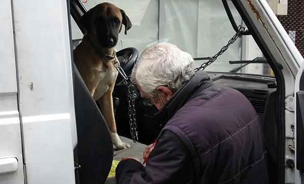 Köpeğini saatlerce araçta bırakan adamdan tehdit: Sizin defterinizi düreceğim