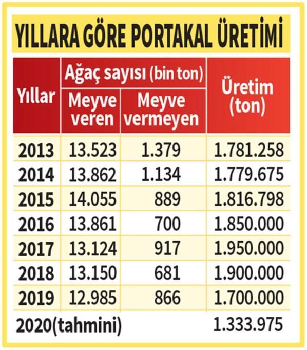 Portakal fiyatlarında koronavirüs etkisi Tanesi 2.5 lira...