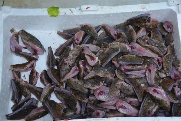 Dışı zehirli içi lezzet deposu Kilosu 80 lira...