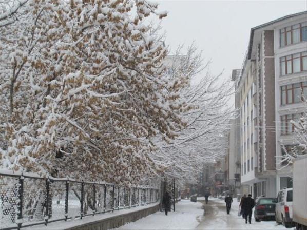 Doğu Anadoluda 661 köy yolu kardan kapandı